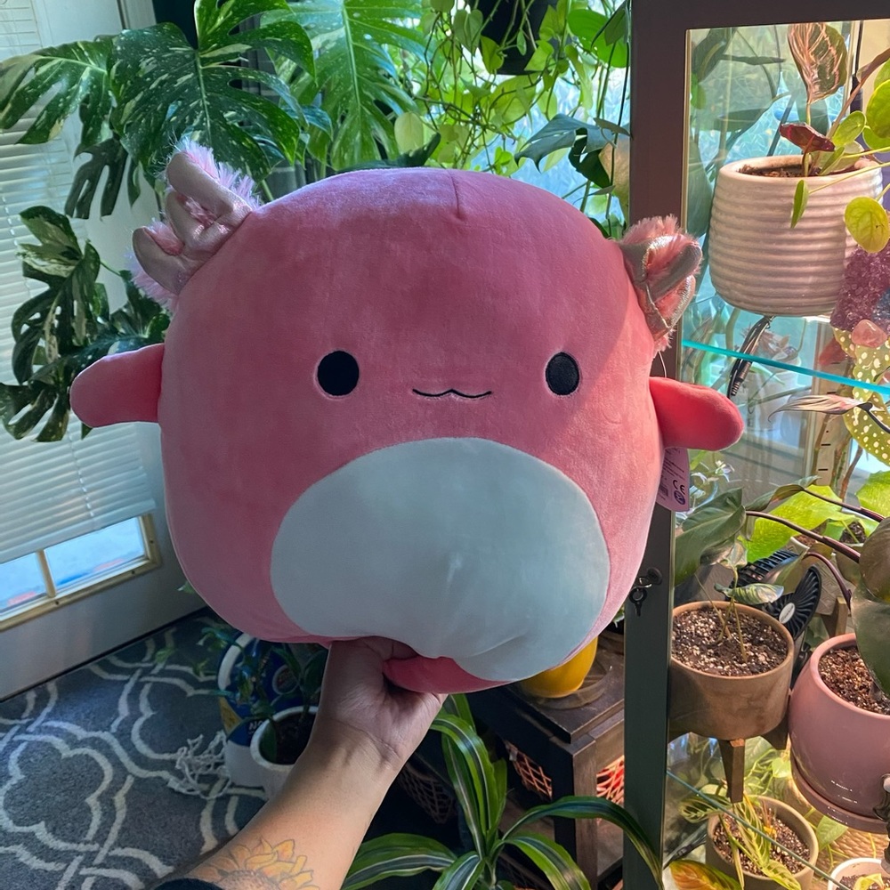 💞💕12” Hot Pink Archie Axolotl Squishmallows💕💞